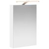 vidaXL Armoire Miroir de Salle de Bain Blanc 40 x 10,5 x 60,5 cm
