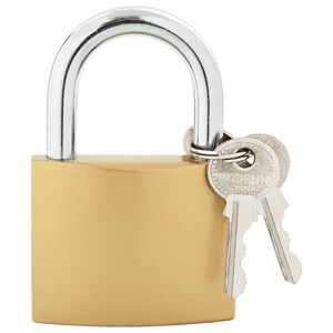 vidaXL U Lock avec Cl&eacute;s 6 pcs Laiton Fer