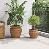 vidaXL Panier de Plante avec stockage 2 pcs Marron Rattan Lacak