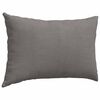 vidaXL Coussins de canapé 2 pcs Gris clair 60 x 40 cm