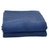 vidaXL Tapis de tente bleu 4x2,5 m