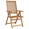 vidaXL Chaises pliantes 2 pi&egrave;ces en bois d'acacia massif