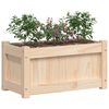 vidaXL Jardinières 2 pcs bois de pin massif