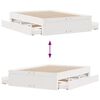 vidaXL Cadre de lit sans matelas avec tiroirs blanc 160x200cm bois pin
