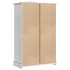 vidaXL Armoire avec tiroir Blanc 101 x 52 x 170 cm Pin massif