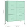 vidaXL Armoire &agrave; tiroirs Vert menthe 80x35x101,5 cm Acier