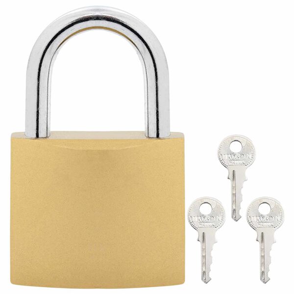 vidaXL U Lock avec Cl&eacute;s 2 pcs Laiton Fer