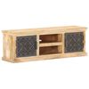 vidaXL Meuble TV avec portes en acier 120x30x40 cm Bois de manguier