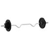 vidaXL Barre d'halt&egrave;res avec plaques 60 kg fonte et acier chrom&eacute;