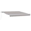 vidaXL Auvent Gris clair 300 x 250 x 165 cm Polyester