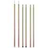 vidaXL M&acirc;ts de tente t&eacute;lescopiques 170-255 cm 2 pcs Acier galvanis&eacute;