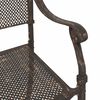 vidaXL Chaise de jardin 2 pcs Bronze 55 x 56,5 x 91cm Aluminium