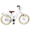 vidaXL V&eacute;lo pour Enfants 20 Pouces pour les enfants de 6 &agrave; 11 ans