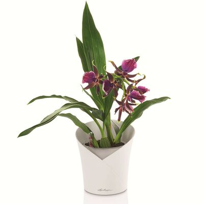 LECHUZA ORCHIDEA blanc 18x18x20cm, pot orchidée
