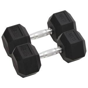 vidaXL Haltères 2 pcs 25 kg Total Fonte