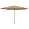 vidaXL Parasol de jardin avec m&acirc;t en bois taupe 400x273 cm