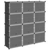 vidaXL Cubes de rangement 12 pcs avec portes noir PP