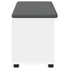 vidaXL Banc d'entr&eacute;e avec coussin Uni Blanc 100 x 38 x 46 cm