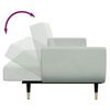 vidaXL Canap&eacute;-lit &agrave; 2 places avec repose-pied gris clair velours