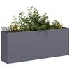 vidaXL Jardinière anthracite 200x40x80 cm acier laminé à froid