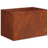 vidaXL Cache-pot de jardin Rouill&eacute; 60 x 40 x 40 cm Acier patin&eacute;