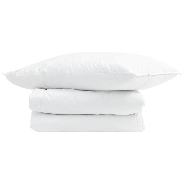 vidaXL Duvet d'&eacute;t&eacute; simple avec oreiller 2 pcs Blanc Plume de canard
