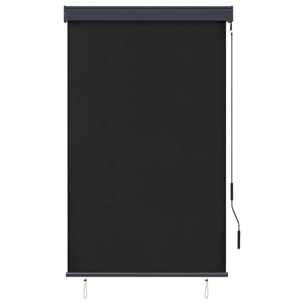 vidaXL Store roulant d'ext&eacute;rieur 100 x 250 cm Anthracite