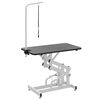 Table Toilettage Ajustable Hydraulique pour Chiens Chats Animaux