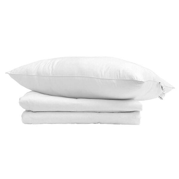vidaXL Duvet d'&eacute;t&eacute; simple avec oreiller 2 pcs Blanc Plume de canard