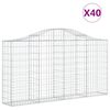 vidaXL Paniers &agrave; gabions arqu&eacute;s 40 pcs 200x30x100/120 cm Fer galvanis&eacute;