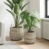 Vignette du produit 2 sur 10