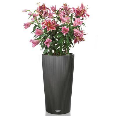LECHUZA Jardinière Cilindro Color 32 ALL-IN-ONE Ardoise 13953