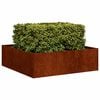 vidaXL Jardini&egrave;re rouill&eacute; 100x100x30 cm acier inoxydable