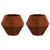 vidaXL Jardini&egrave;re 2 pcs Rouill&eacute; 50 x 50 x 40 cm
