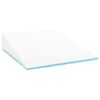 vidaXL Coussin en coin Uni Blanc 69 x 64 x 19 cm