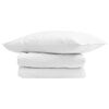 vidaXL Duvet d'hiver avec oreiller 2 pcs Blanc Plume de canard