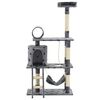 Grey_with_paw_prints