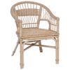 vidaXL Chaise empilable Rotin Naturel 60 x 60 x 81 cm