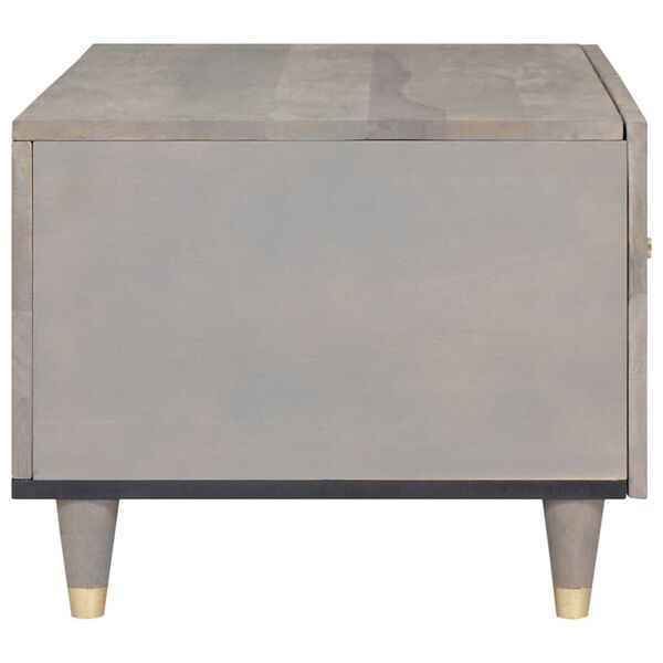 vidaXL Table basse Gris 80 x 50 x 40 cm Bois de mangue massif