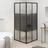 vidaXL Cabine de douche &agrave; rayures ESG 80x80x180 cm Noir