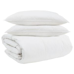 vidaXL Ensemble de Duvet avec oreiller 3 pc Blanc Plume de canard
