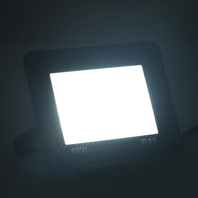 vidaXL Projecteur à LED 50 W Blanc froid