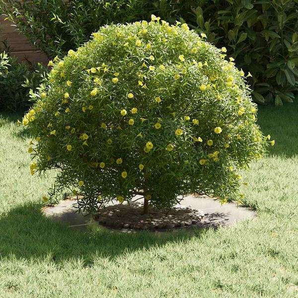 vidaXL adapté pour anneaux d'arbre plats 5 pcs Argent Ø30 / 60 cm