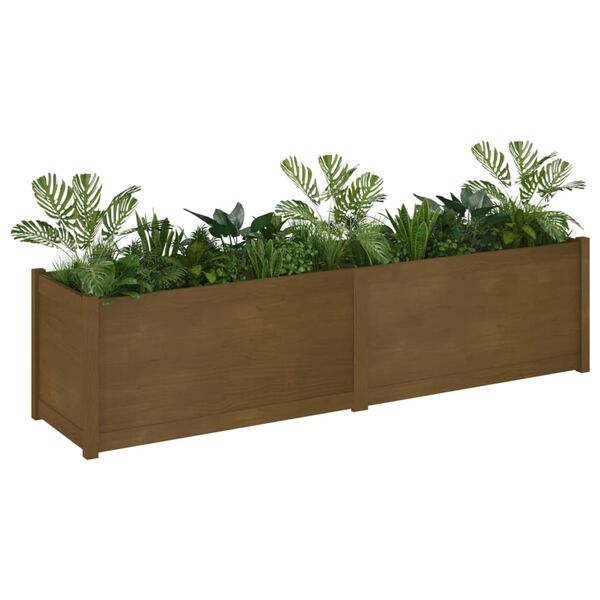 vidaXL Jardini&egrave;re d'ext&eacute;rieur Marron miel 200x50x50 cm Pin massif