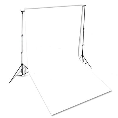 vidaXL Kit de studio photo boîtes à lumière toile de fond réflecteur