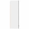 vidaXL Armoire suspendue avec porte Riga Gris Sonoma 40 x 31 x 100 cm