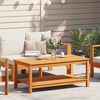 vidaXL Table d'appoint Marron 110 x 55 x 45 cm Bois d'Acacia Massif
