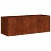 vidaXL Jardini&egrave;re rouill&eacute; 120x40x40 cm acier inoxydable