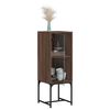 vidaXL Armoire lat&eacute;rale avec porte en verre ch&ecirc;ne marron 35x37x100 cm