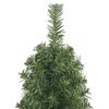 vidaXL Sapin de No&euml;l artificiel Vert 150 cm PVC et acier et plastique